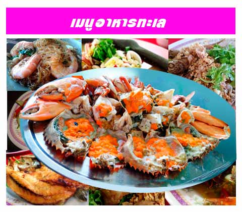 อาหารทะเลสด อร่อย ร้านไสวอาหารทะเลแม่กลอง สมุทรสงคราม ราคาเป็นกันเอง